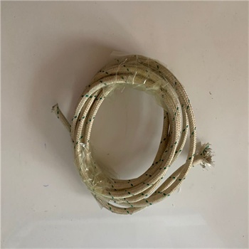 Pure nickel wire boiler application 4mm2,500 degrees high temperature wire GN500-03